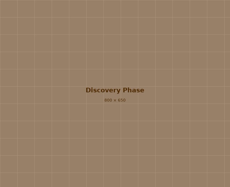 Discovery & Brief